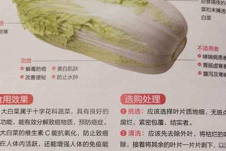 大白菜的营养含量比例