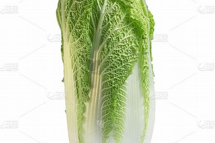 吃大白菜有什么好处