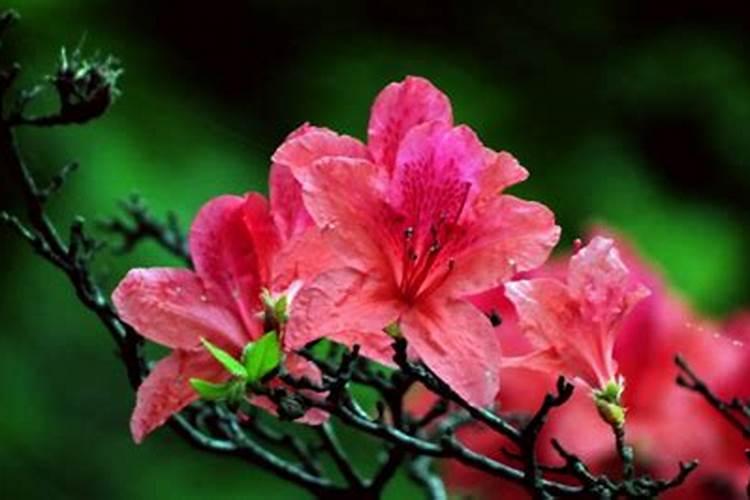 总磷、有机磷、无机磷有什么不同之处吗？