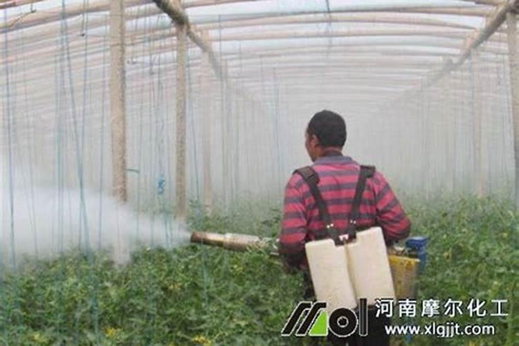 水稻后期能用钾肥吗