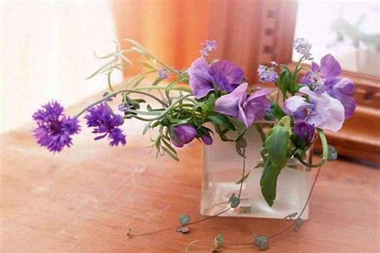 催花开用什么肥