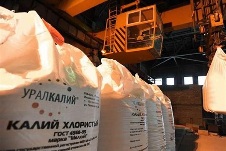 中国在俄罗斯有化肥企业的上市公司有哪些？