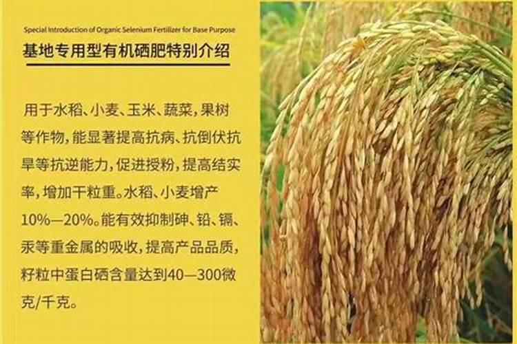 富硒小麦硒含量标准