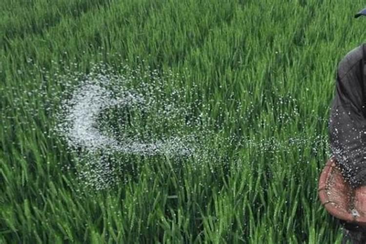 哪三种方法可以防治水华