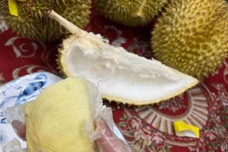 广东榴莲种植秘诀