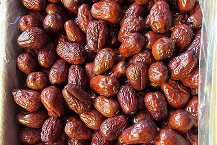 姑娘果在花盆里怎么种