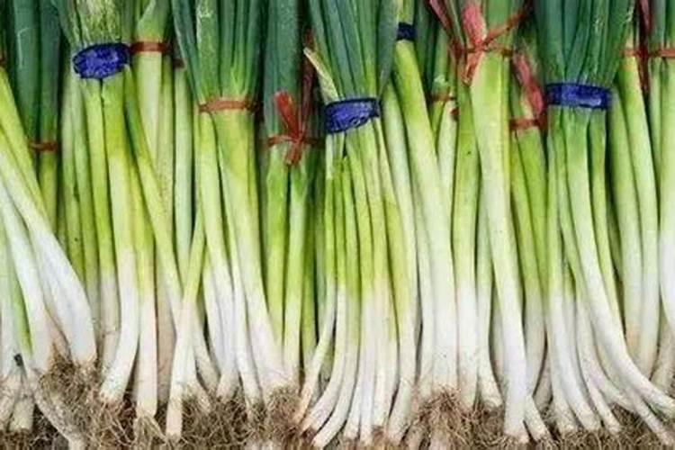 大葱施肥用什么肥料好