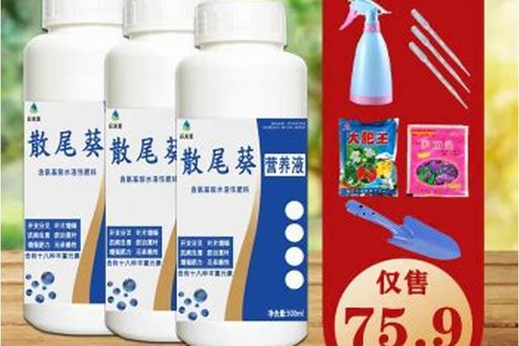 凤尾竹用什么肥料最好