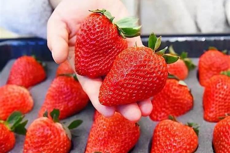 草莓施什么肥才甜？什么时候施肥合适？