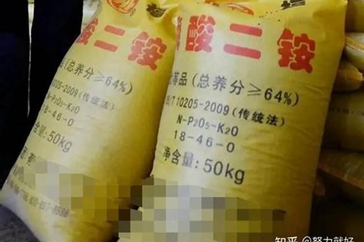 磷肥可以施在什么植物上