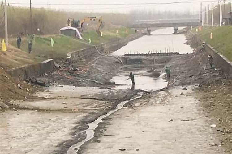 如何自制有机肥