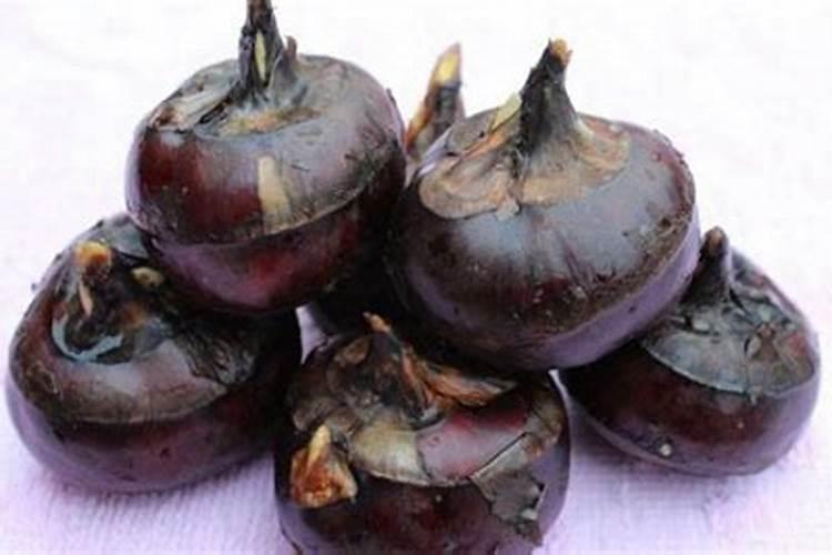 荸荠开花晚用什么肥料？