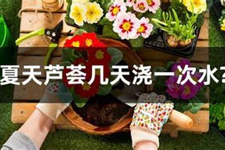 我想问一下花土栽多久可以施肥