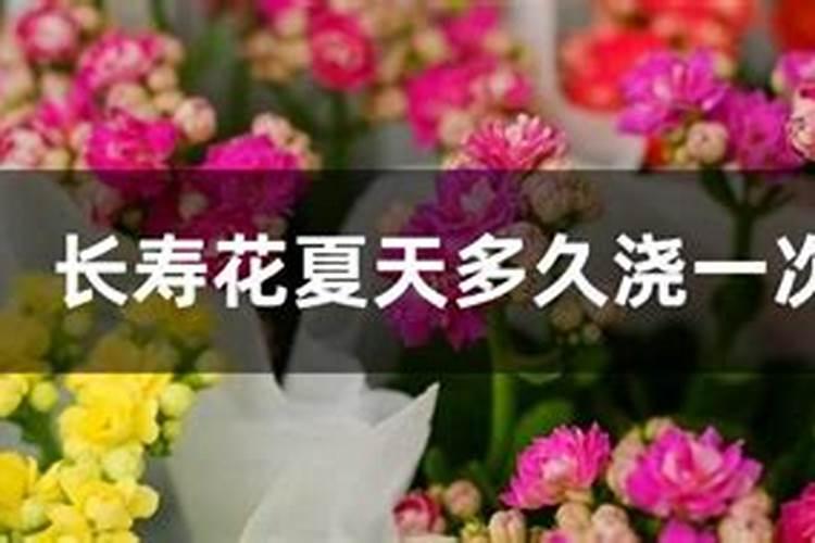 夏季要怎样给盆花施肥？