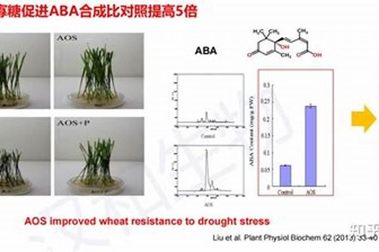 打药以后下雨怎么办