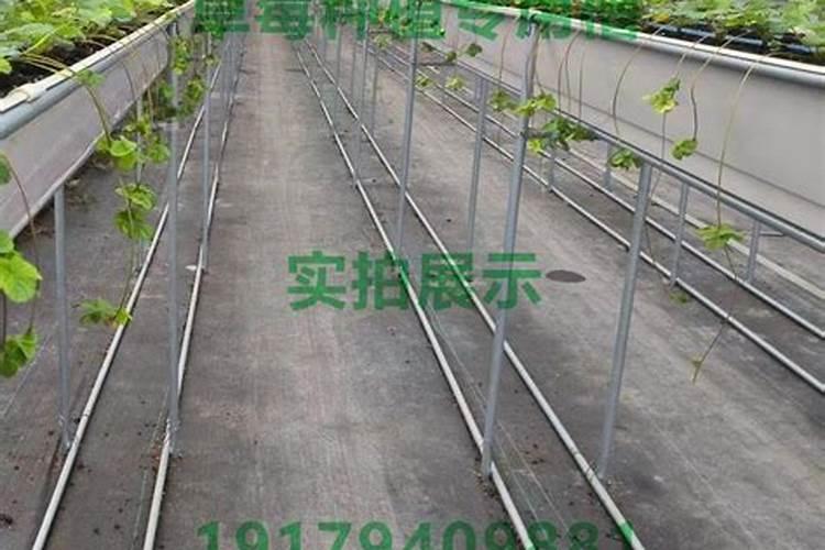 面侧深区是颞下区吗