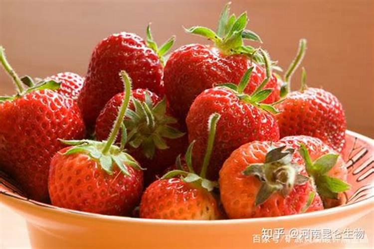 自家种的草莓怎么施肥
