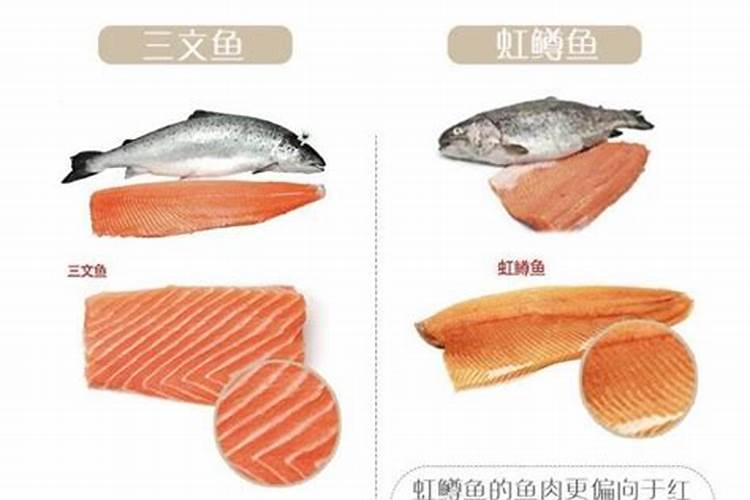 怎样鉴别鱼粉真假？