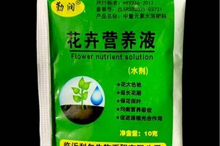 大葱营养药几天打一次好