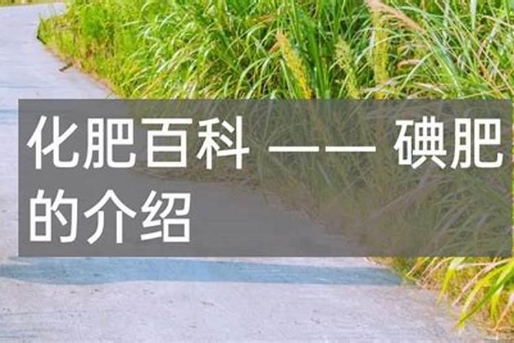 世界上十大名牌肥料排名