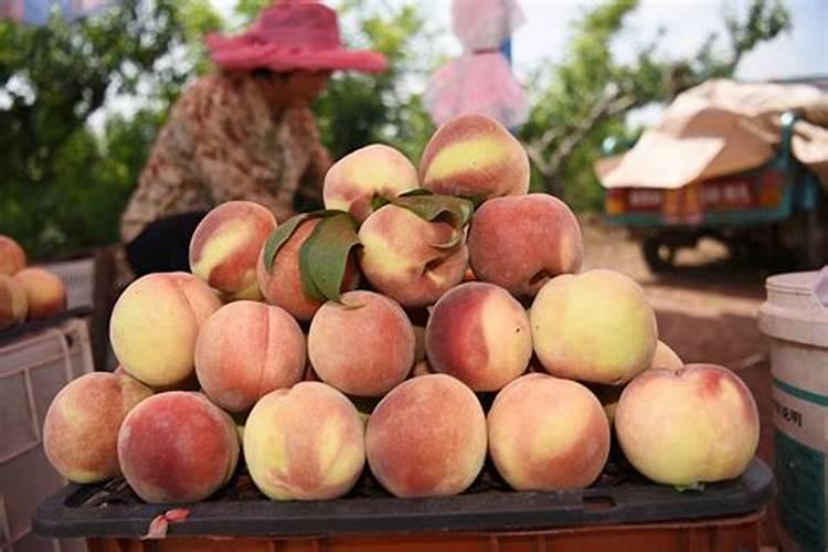 西瓜五斤左右用复合肥,尿素,水溶肥,钾肥一起施可以吗