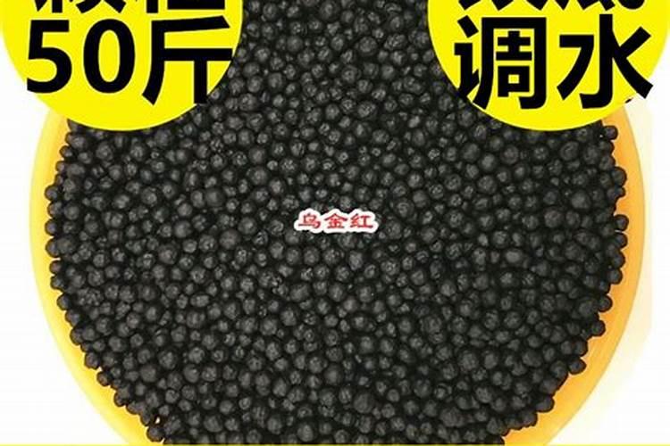 黄豆做肥料注意的事项怎么正确制作花肥
