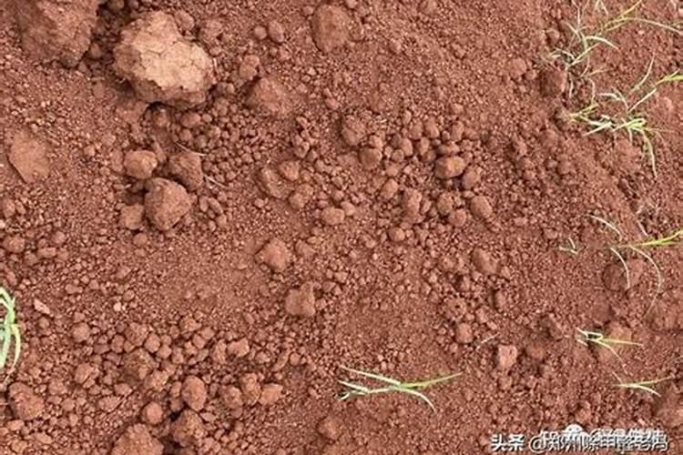 水溶性磷肥使用方法