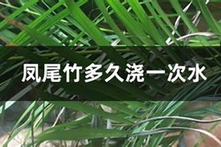 春雨怎么养成老桩造型