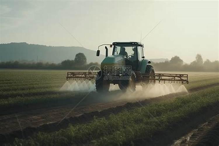 高档水溶肥使用注意事项有哪些
