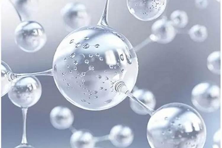 水稻优选 有机水溶肥料有哪些