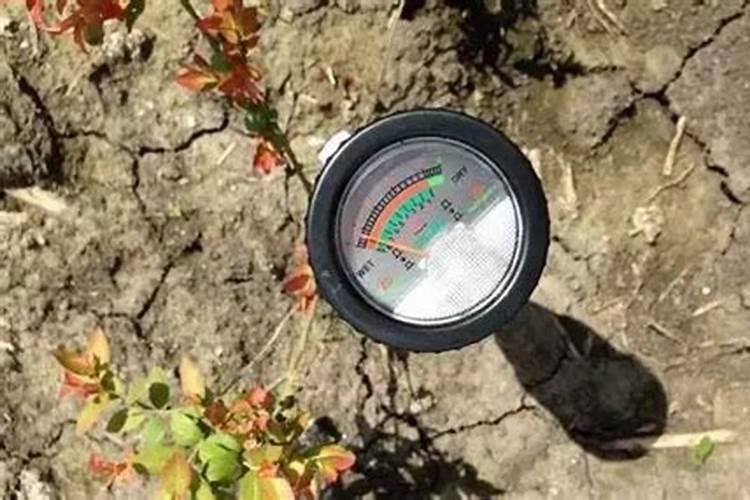 稻田养蟹的施肥管理内容是什么？