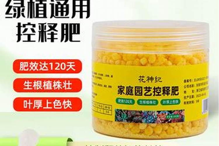 网购的多肉上盆能用多肉控释肥吗