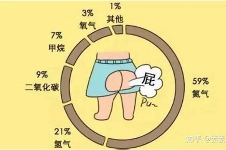 西红柿烂屁股怎么回事