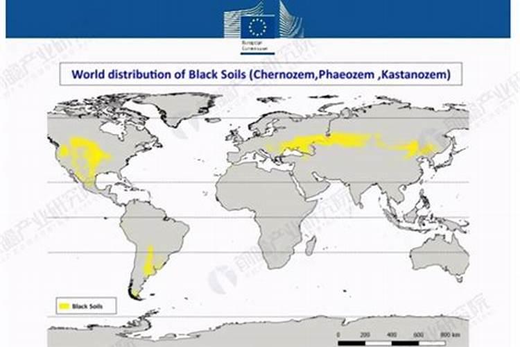 腐植酸属于有机肥吗？有什么优点？例如产量如何