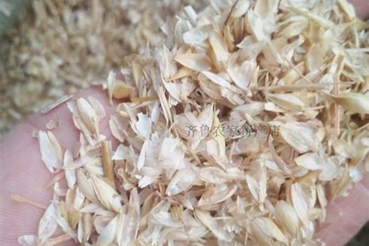 刚施了菜籽饼的土可以直接种花种吗？