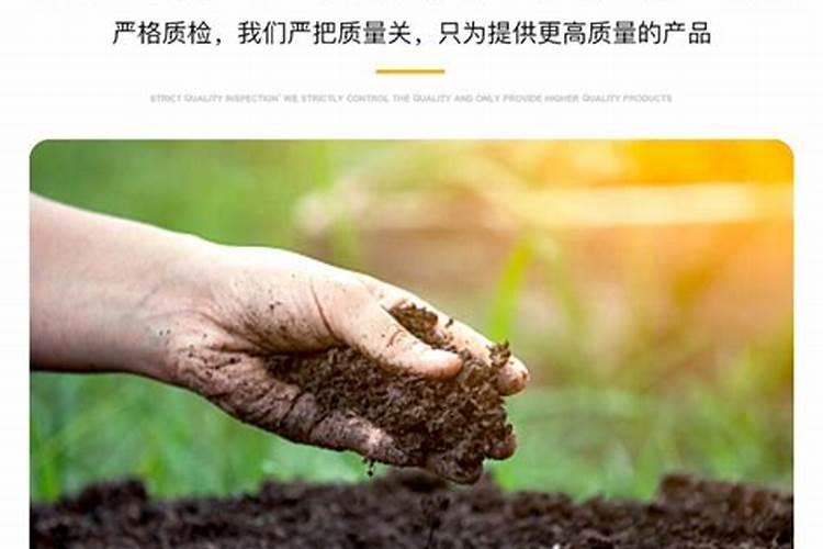 养殖池塘青苔泛滥成灾？教你处理青苔方法