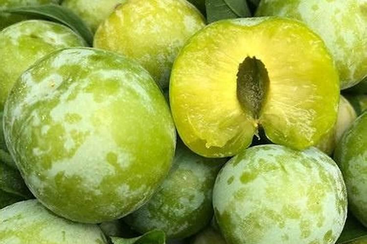 使用这6种溶液浇花,保证花叶越长越好~