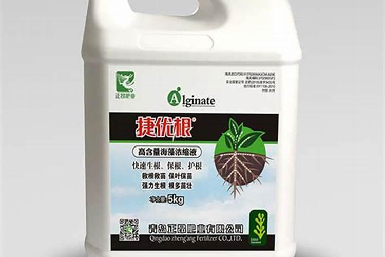 菌肥作用,怎么使用效果好