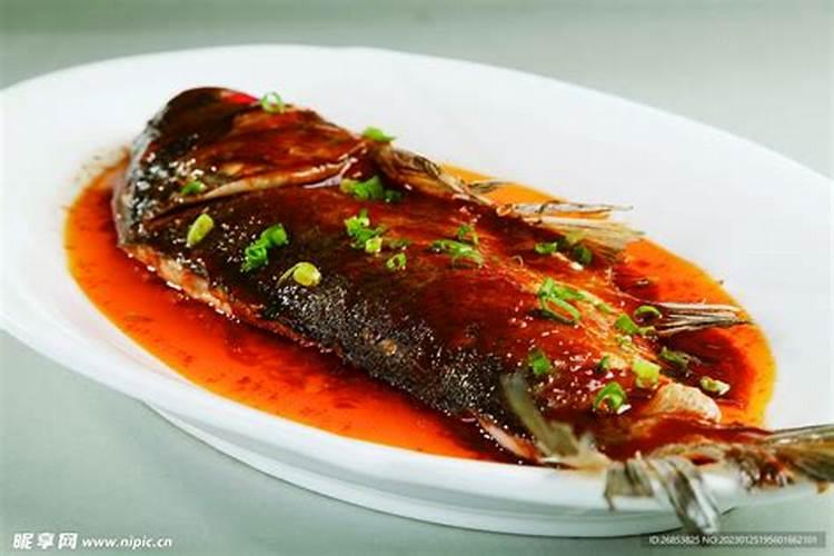 鱼蛋白能钓什么鱼