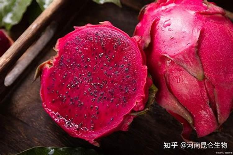 7月火龙果进入花果盛期,4大管理要点,每一点都不容忽视