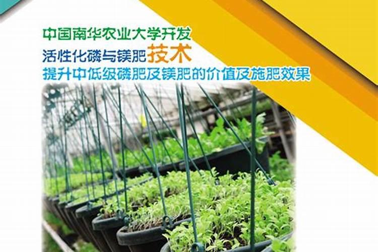 樱桃树可以用硅钙钾镁肥吗？