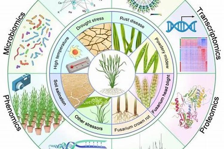 氮肥磷肥钾肥区别和作用