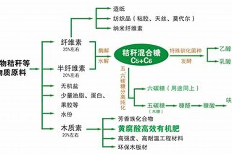 聚乳酸(PLA)是什么？聚乳酸(PLA)未来前景如何？