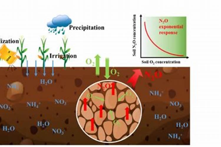 氮肥过多怎么样处理
