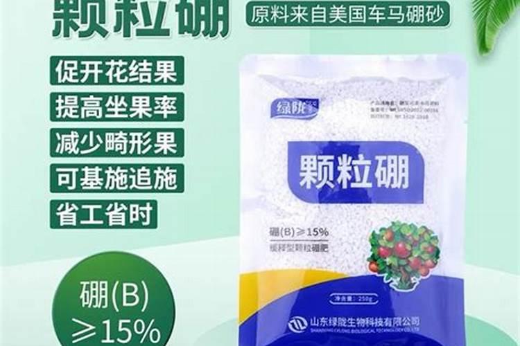 果树施硼肥怎么操作？果树施硼肥有什么用？