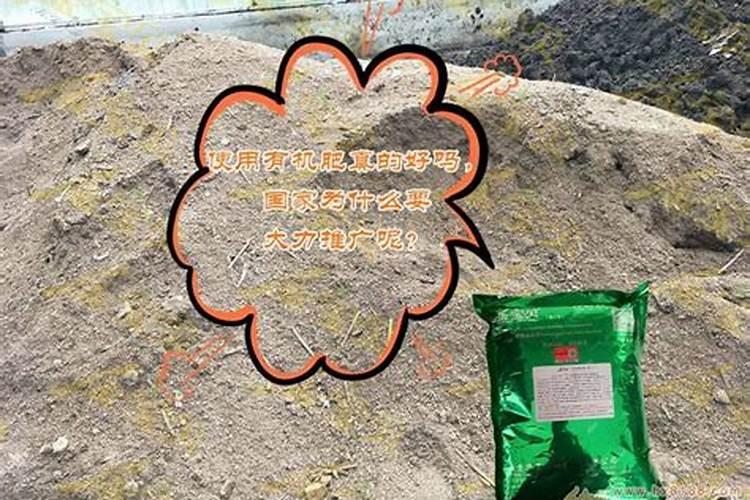 硝酸钙化肥什么时候施肥最好的