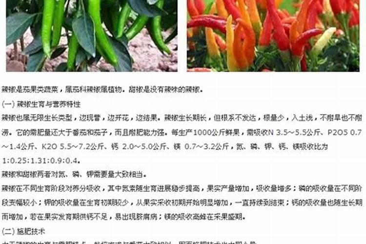 辣椒用什么肥料好