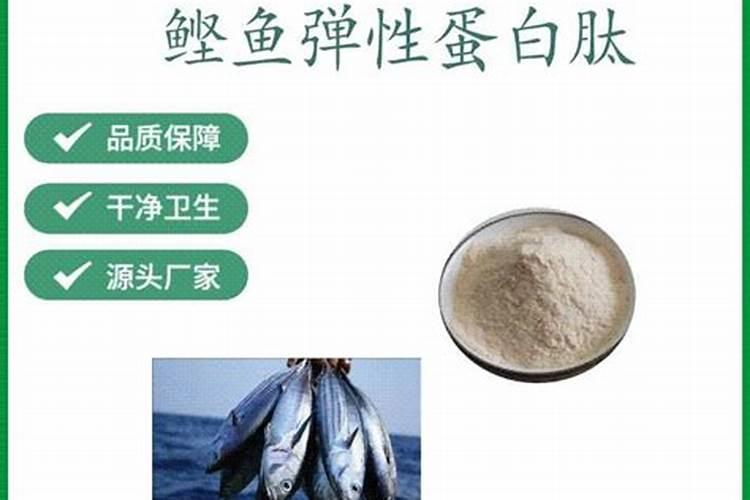 洱海弓鱼是哪里的