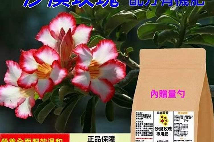 吉林农邮肥料有限公司怎么样？