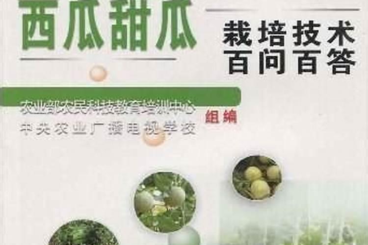 为啥西甜瓜老是栽不活呢？